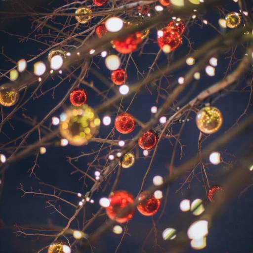 Safety Tips for Holiday Lighting