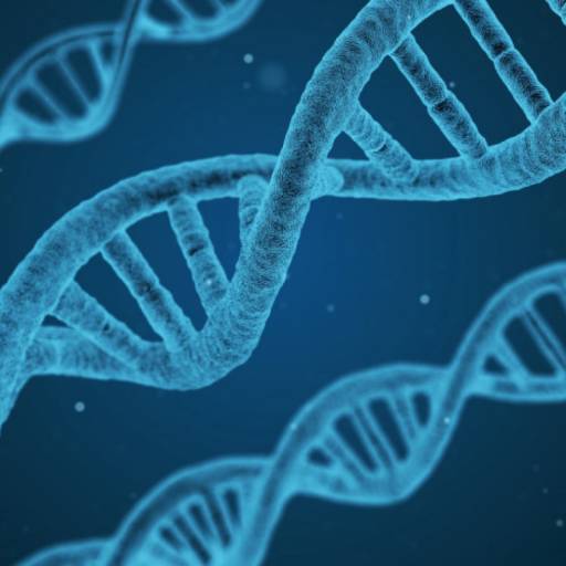 DNA Testing: The Good, The Bad, and The Ugly