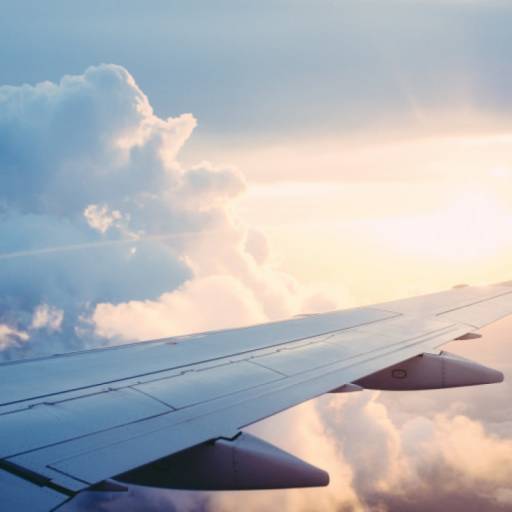 Dale Investigates: Delta Derailed