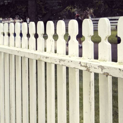 Fencing Services in Duluth, Chain link Fencing in Duluth, Picket Fencing  in Duluth