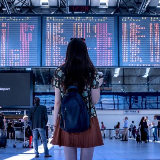Dale Investigates: Are Budget Airlines Really Saving You Any Money?
