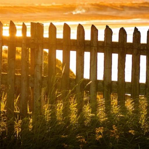 When is the best time to build a fence?