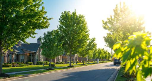 The Role of Trees in Property Maintenance