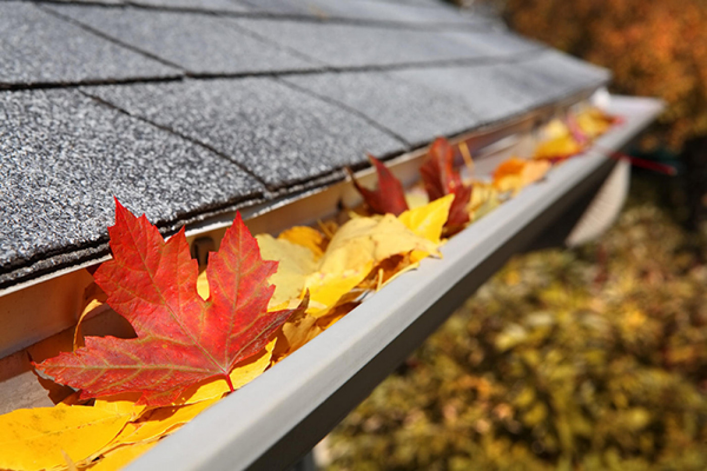How to Solve Your Gutter Cleaning Problems This Fall