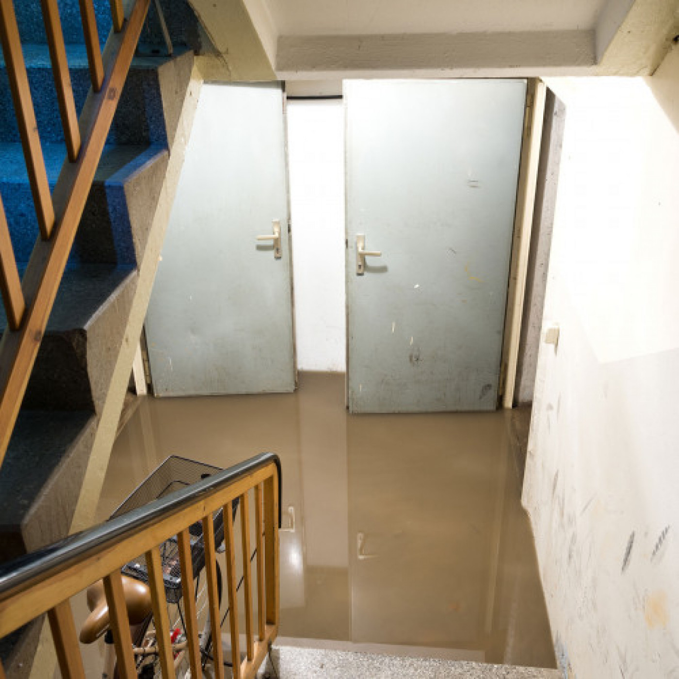 What to Do When Your Basement Floods