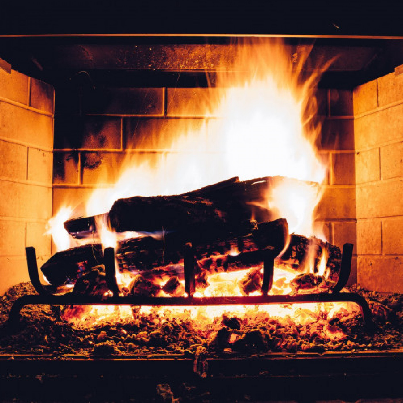 Never Start Start a Fire Without an Annual Chimney Cleaning!
