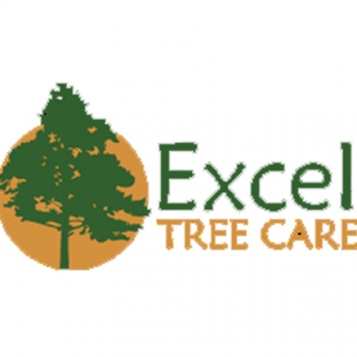 Ideal Times for Tree Pruning, Cutting and Emergency Tree Removal