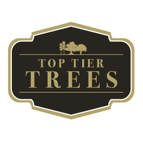 About Us  Top Tier Trees