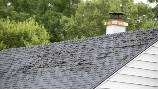 Drip, Drip, Disaster: Why That Leaky Roof Can't Wait