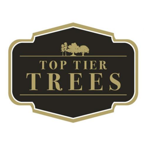 Top Tier Trees logo