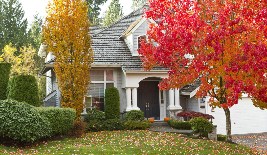 Getting Your Roof Ready for Fall