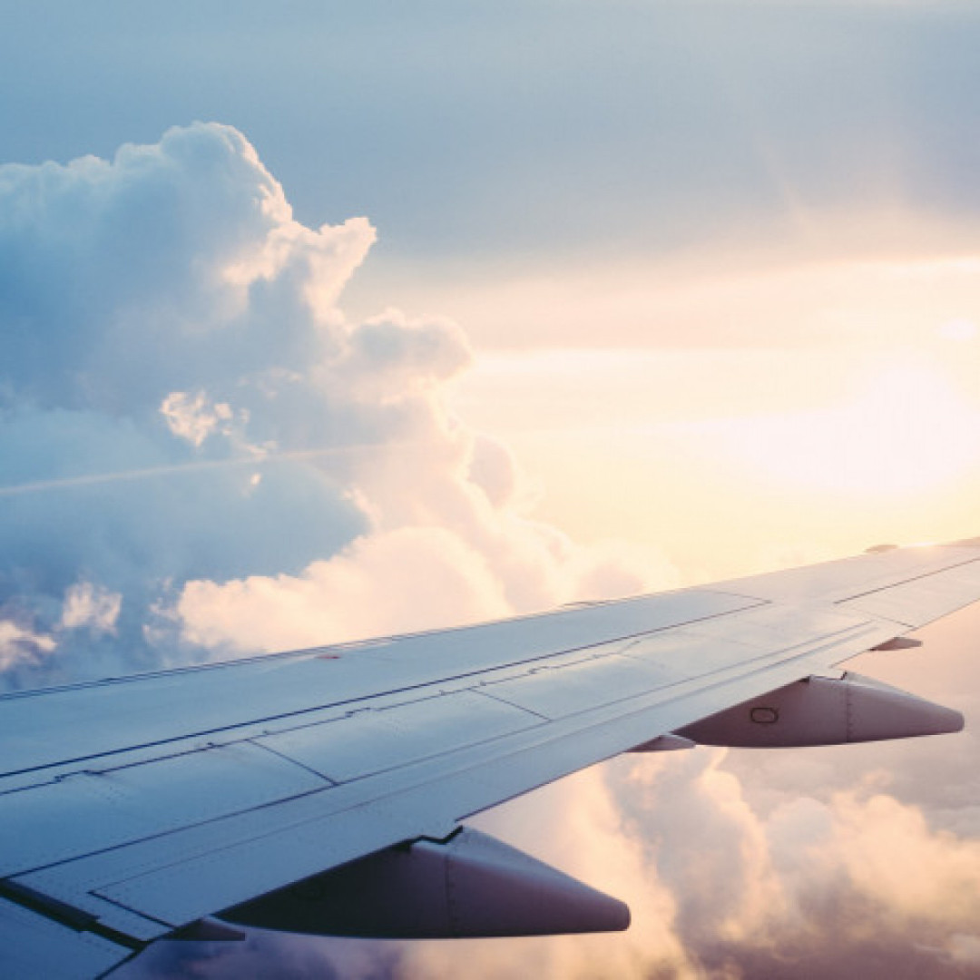 Dale Investigates: Delta Derailed