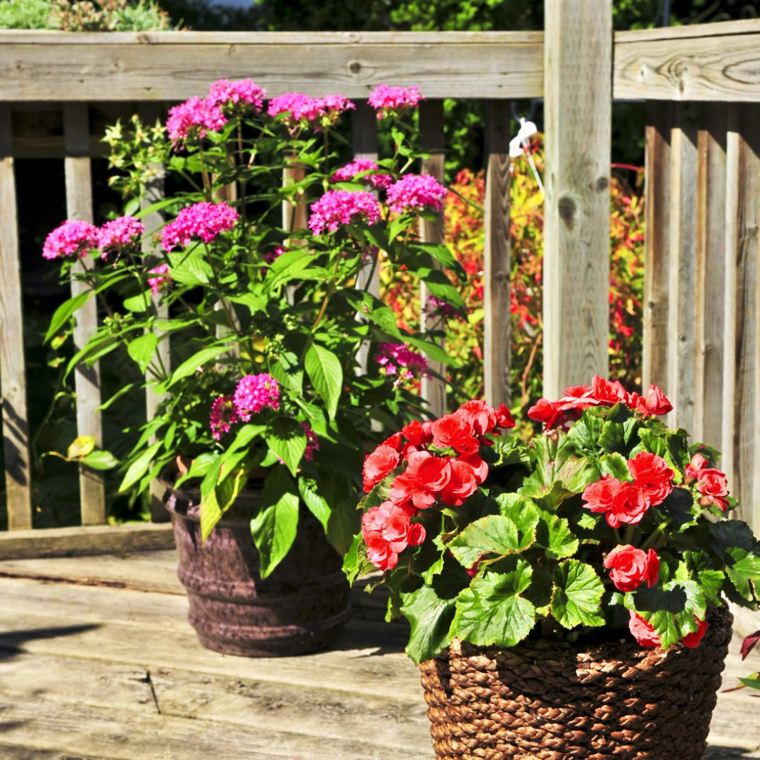 Want a new or improved deck this summer? Start planning now!