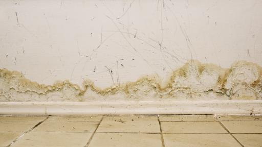 Moisture Misery: The Price Paid for the Wrong Solution