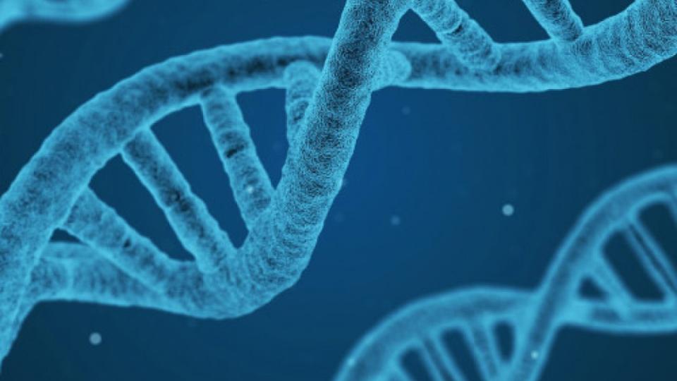 DNA Testing: The Good, The Bad, and The Ugly