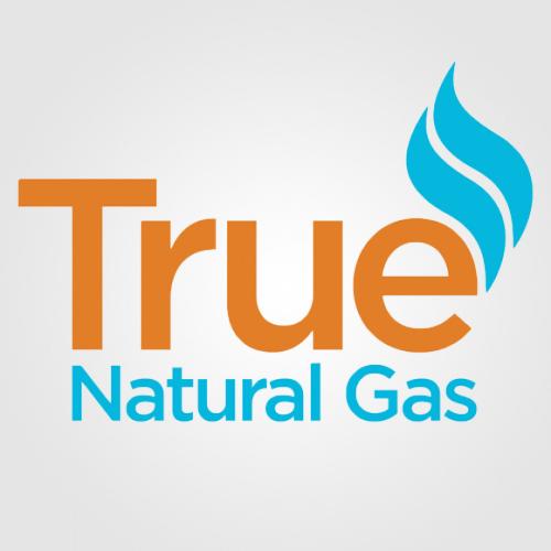 True Natural Gas - Commercial logo