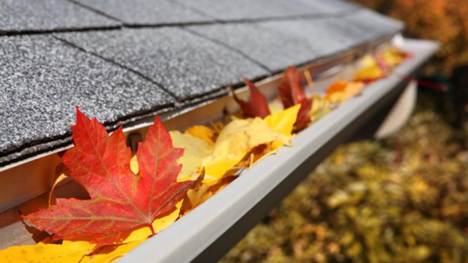 How to Solve Your Gutter Cleaning Problems This Fall