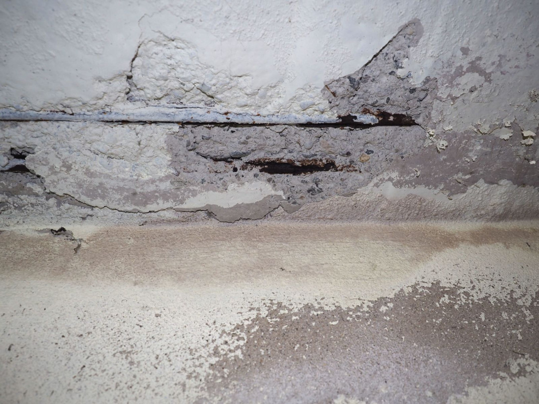 Why You Should Never Ignore a Wet Crawl Space