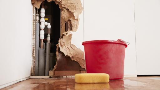 Damage Control: What You Need to Know Before Water Destroys Your Home
