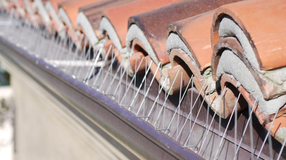 Simple Tips On Replacing Gutter Spikes Around Your Home