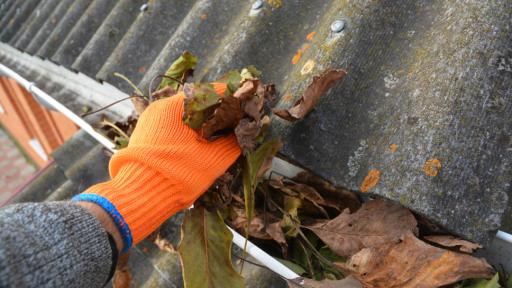 The Consequences of Not Regularly Cleaning Your Gutters