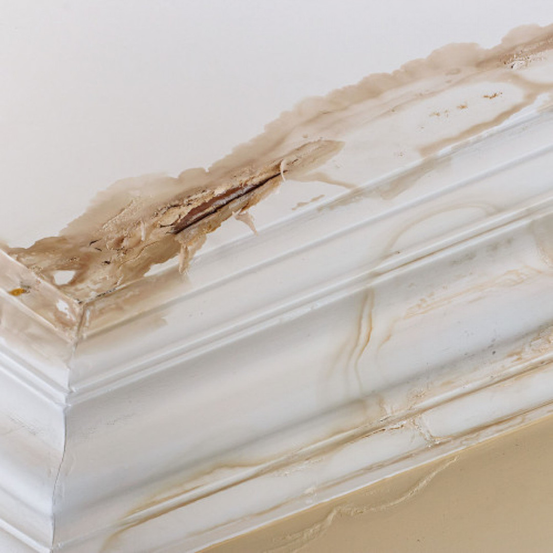 4 Reasons Your Roof Leaks
