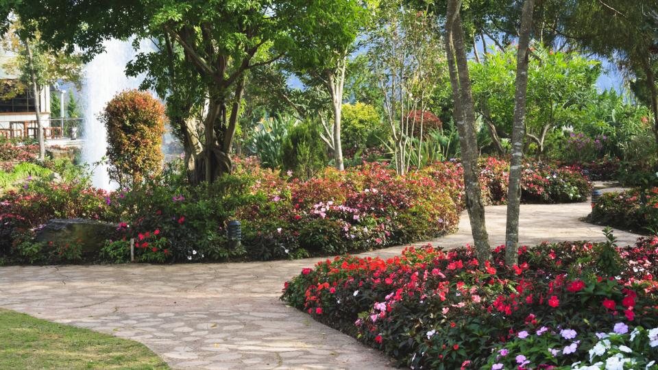 Spring Landscaping Trends for 2025