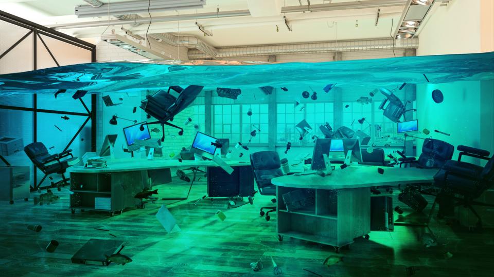 First 24 Hours After Disaster: Steps for Business Owners Facing Fire Water Mold