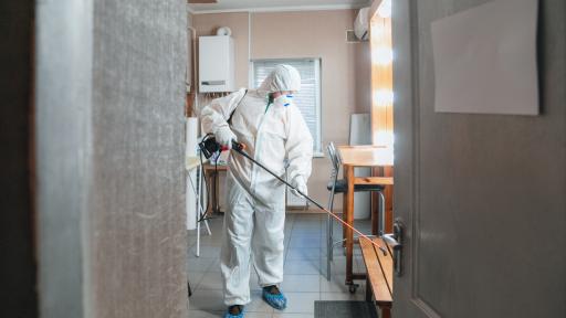 Why Professional Mold Remediation is Critical for Commercial Properties