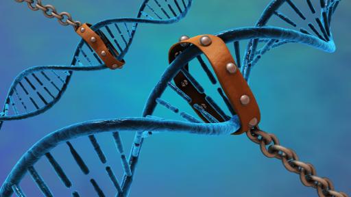 Your Genetic Data Might Be on the Market: 23andMe’s Bankruptcy Red Flags