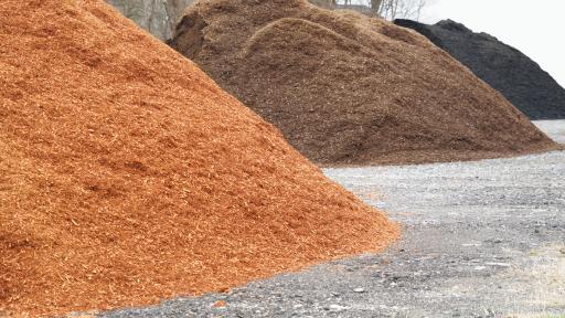 Free Mulch or Massive Mess? What You Need to Know About ChipDrop