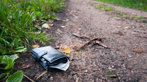 Don’t Let a Payment App Drain Your Wallet