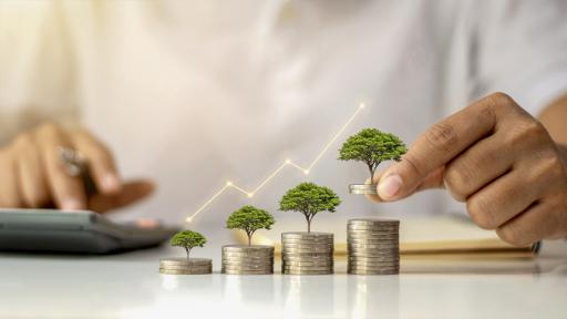 Land Equity Loans: Turning Dirt into Dollars for Your Dream Home