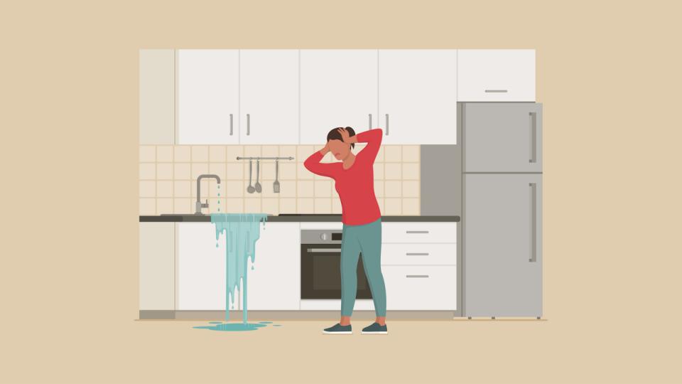 Clogs or Catastrophes? When to Call a Plumber