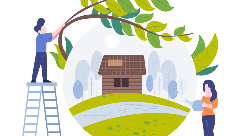 From Shade to Style: Why Tree Care Pays Off
