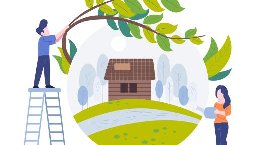 From Shade to Style: Why Tree Care Pays Off