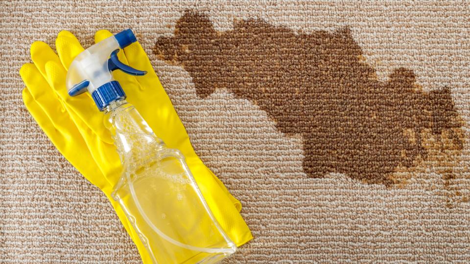 From Wine to Pet Messes: The Real Science Behind Stubborn Carpet Stains