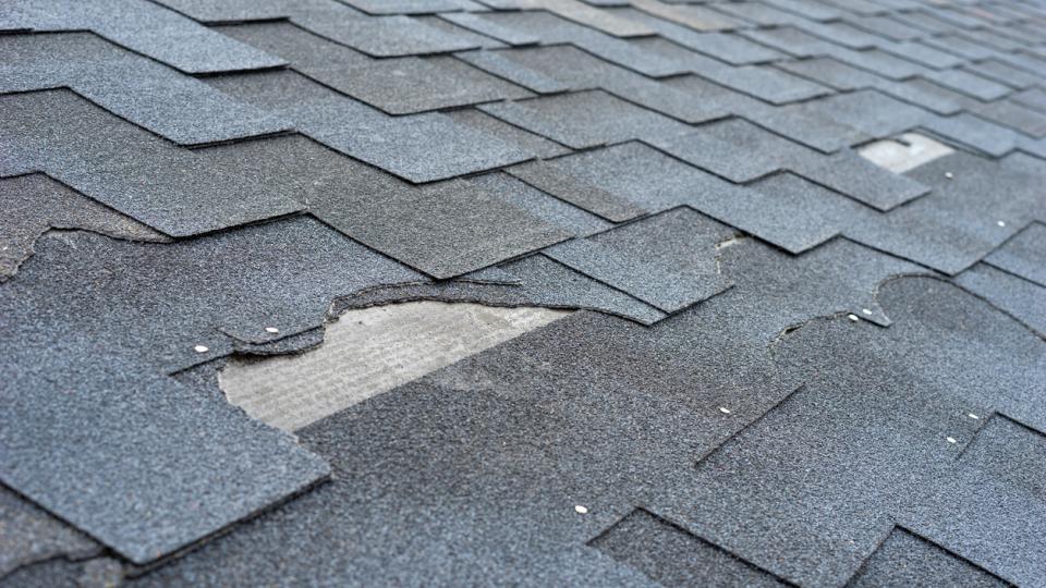 When Shingles Tell Secrets: 7 Signs Your Roof Is Crying for Help
