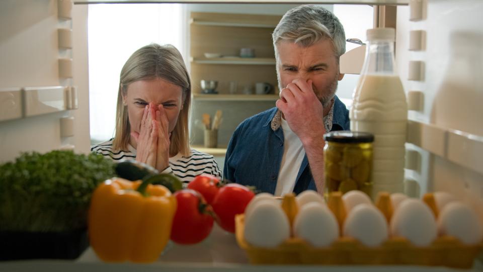 Warm Milk, Spoiled Food: How to Solve Refrigerator Cooling Problems