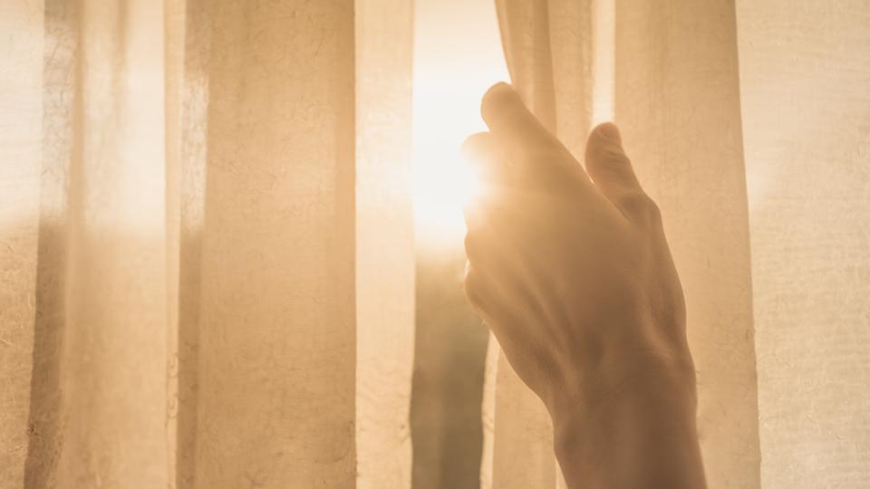 The Window Effect: Transforming Homes Inside and Out