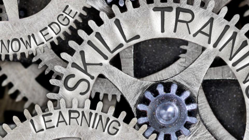 Experience vs. Education: What to Look for in a Flooring Contractor