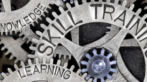 Experience vs. Education: What to Look for in a Flooring Contractor