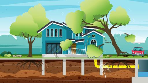 Out on a Limb: When Cutting Down a Tree Actually Grows Your Investment