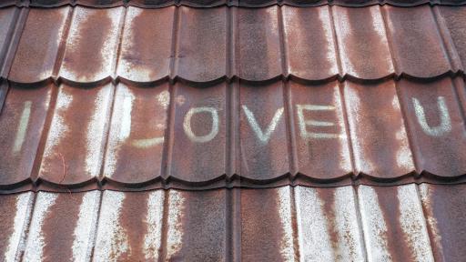 The Roof Whisperer: Lessons from the Most Misunderstood Part of Your Home