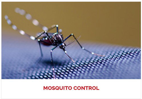 Healthy Home Termite and Pest Control photo