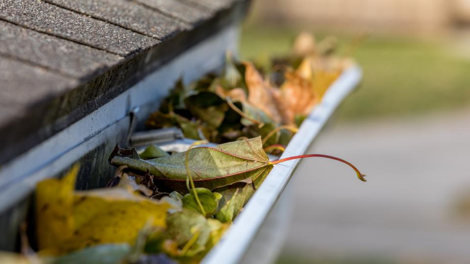Gutters and Seasons: Why Timing Matters More Than You Think