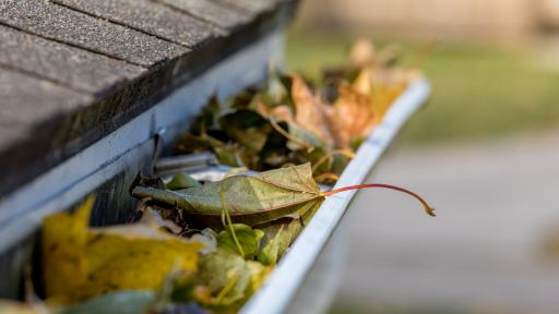 Gutters and Seasons: Why Timing Matters More Than You Think