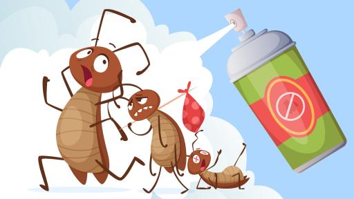 The Smart Homeowner’s Guide to Choosing Reliable Termite Protection