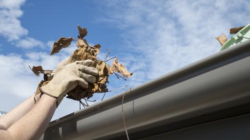 When Gutters Go Rogue: How to Know You Need Professional Help