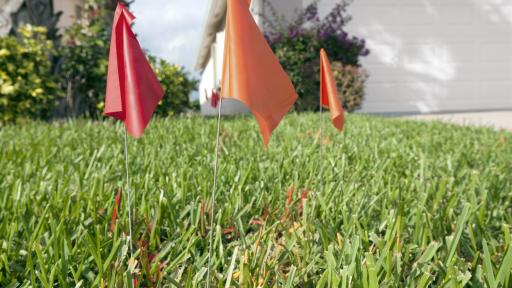 When Surveyors Show Up Unannounced: What Homeowners Need to Know